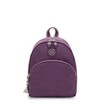 Kipling Paola Small Hátizsák Lila | HU 1598SG